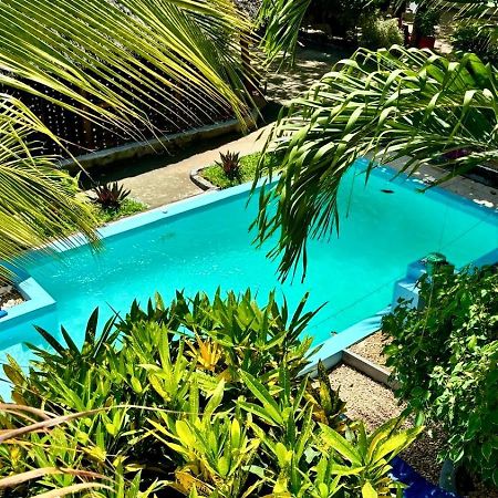 Kilimanjaro Bed & Breakfast Nungwi Luaran gambar