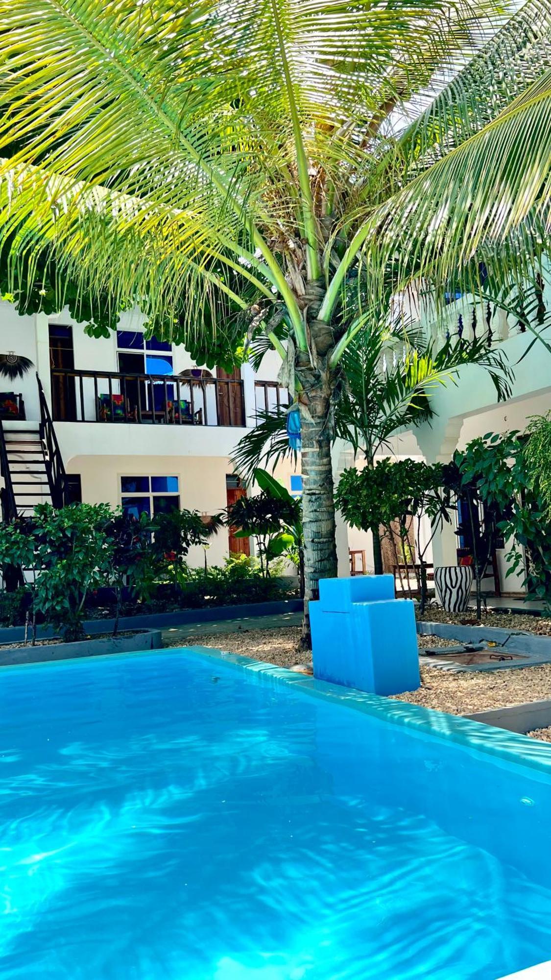 Kilimanjaro Bed & Breakfast Nungwi Luaran gambar