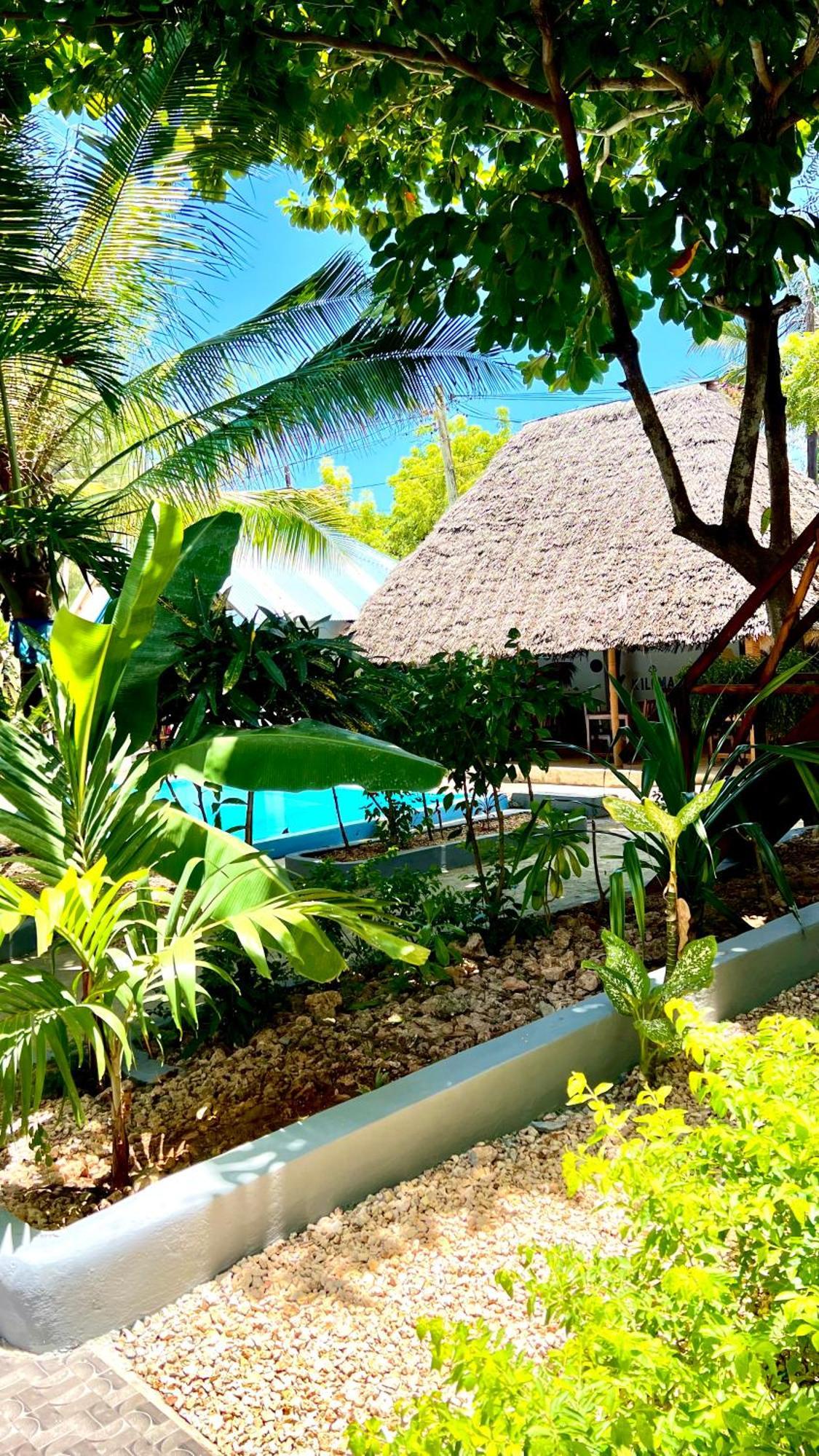 Kilimanjaro Bed & Breakfast Nungwi Luaran gambar