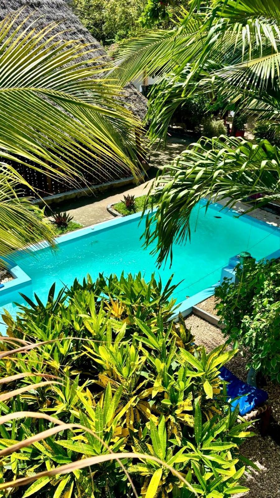 Kilimanjaro Bed & Breakfast Nungwi Luaran gambar