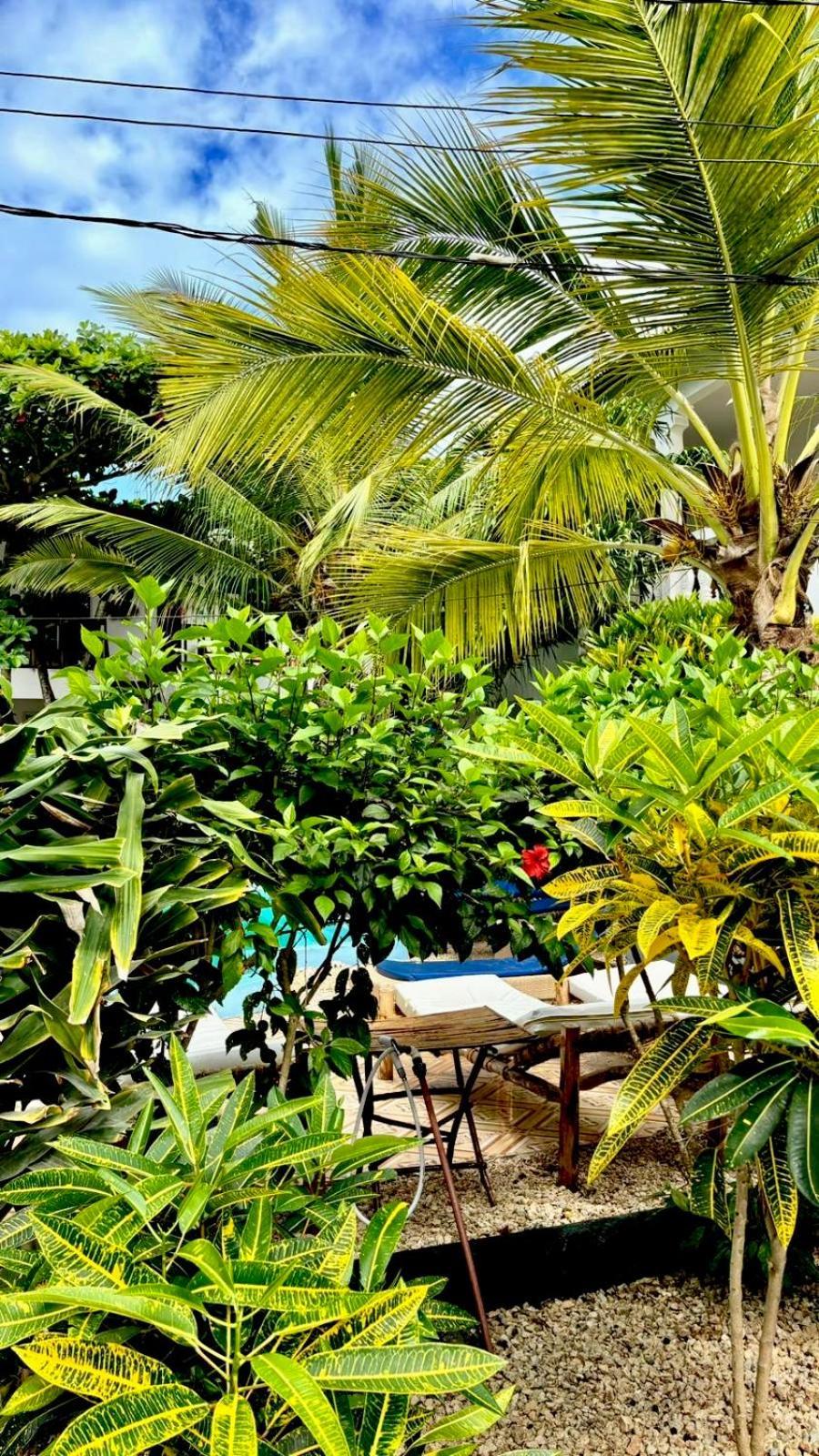 Kilimanjaro Bed & Breakfast Nungwi Luaran gambar